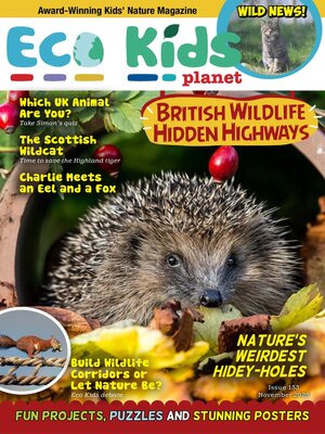 cover image of Eco Kids Planet Magazine